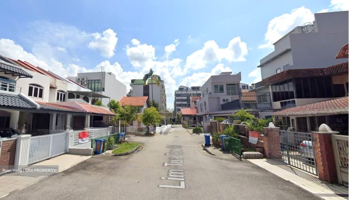 Lim Tua Tow Road (D19), Terrace #563819141